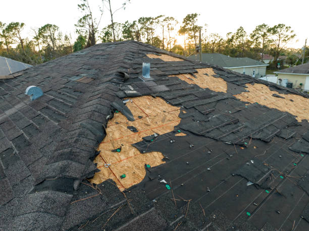 Best Gutter Installation and Repair  in Bucyrus, OH